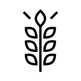 FC_Icons-2_seeds