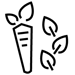 FC_Icons-2_carrot